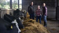 Market Lane launches €3,000 culinary bursary