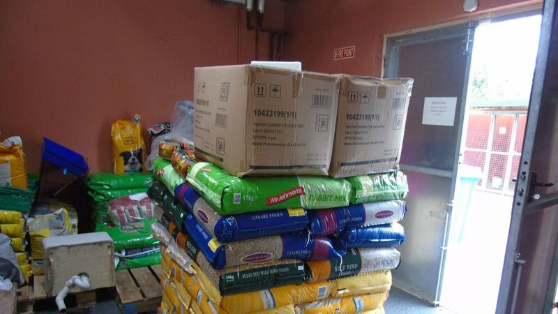 Cork animal shelter begins stockpiling supplies ahead of Brexit Cork animal shelter begins stockpiling supplies ahead of Brexit