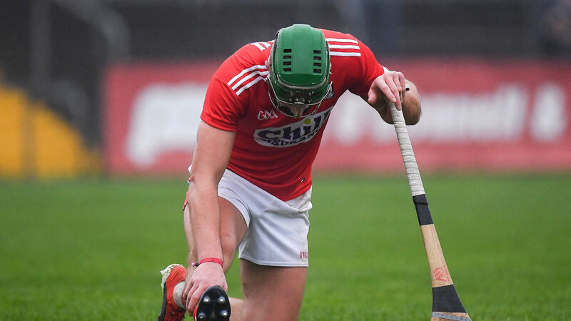 Walsh starts all over again on the hurling front Walsh starts all over again on the hurling front