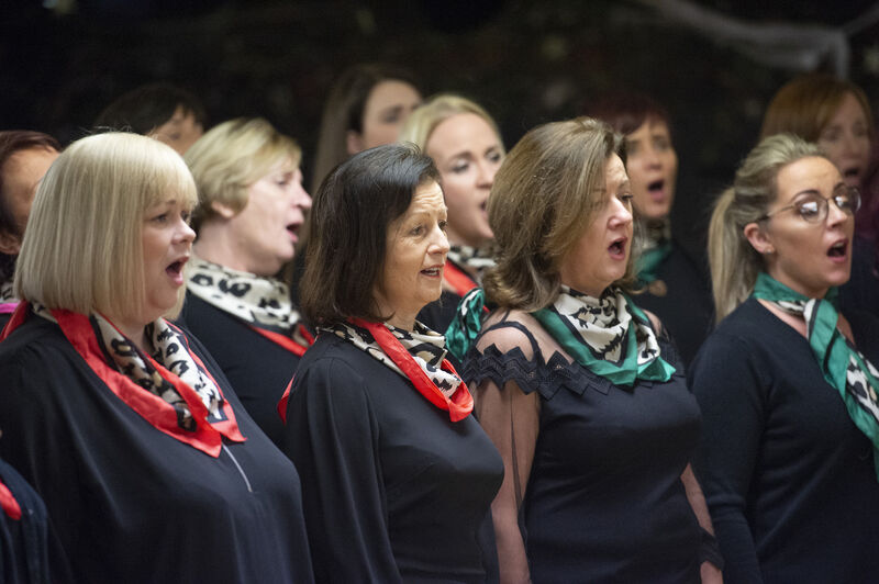 The Sonatinas Choir rehearsing. Picture Dan Linehan The Sonatinas Choir rehearsing. Picture Dan Linehan