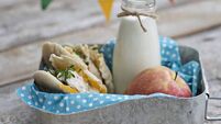 Back to school lunch options