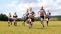 Ballincollig Rugby Club are going to the dogs!