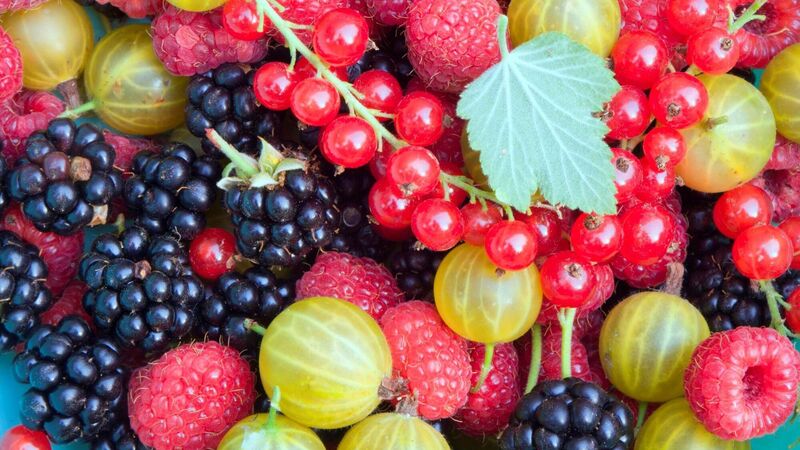 Cork researcher: food taste more to do with eyes than mouth