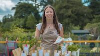 Cork women giving us some food for thought