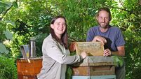 Family farm is a hive of activity