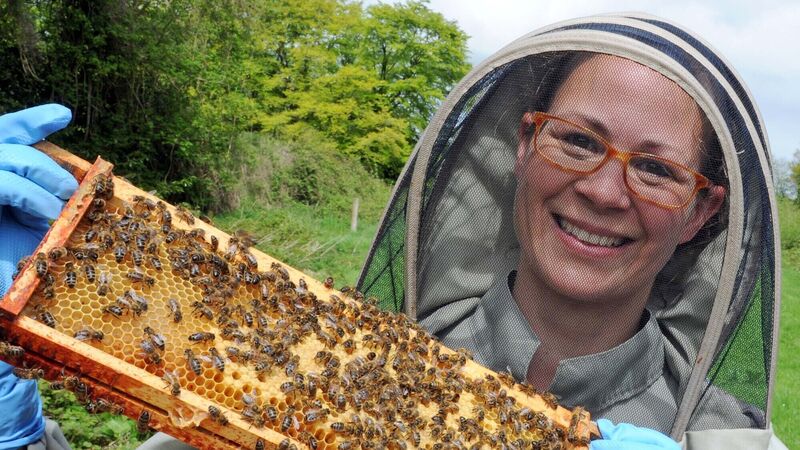 VIDEO: Creating a bit of a buzz around World Bee Day VIDEO: Creating a bit of a buzz around World Bee Day