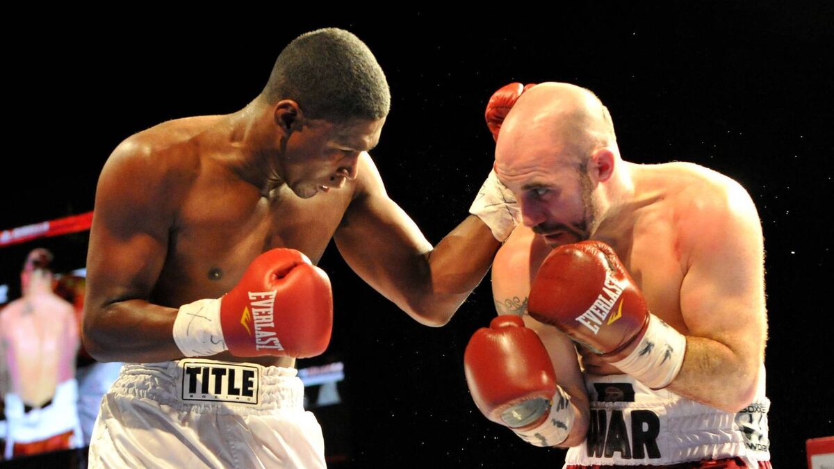 Rebel boxer Spike is ready for Action