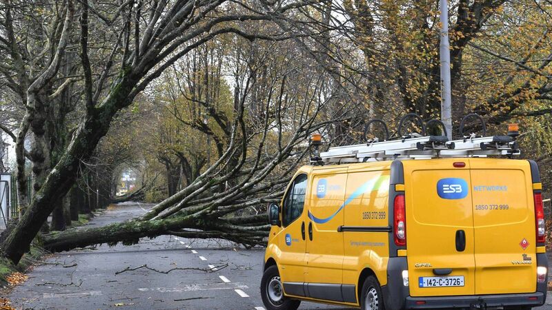 Ophelia leaves her mark in Cork with 90,000 homes still without power