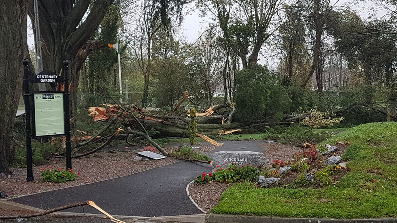 Extra funding required in the aftermath of Ophelia say councillors Extra funding required in the aftermath of Ophelia say councillors