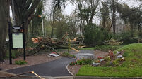 Extra funding required in the aftermath of Ophelia say councillors