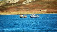 Sea Echoes: Fishing Industry Gears Up for Legal Battle