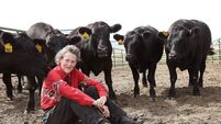 World-renowned autism expert Dr Temple Grandin to speak in Cork