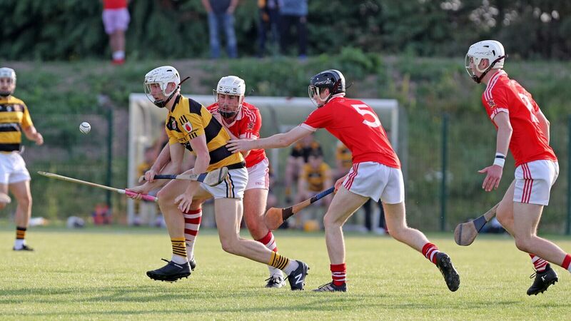 An injection of Na Piarsaigh skill and steel has helped backbone Cork's hurling revival