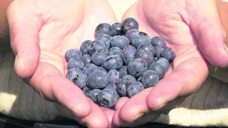 I’ve lost the baby. I got the bus home, but I didn’t cry