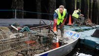 Turning the tide on rubbish being dumped in the River Lee