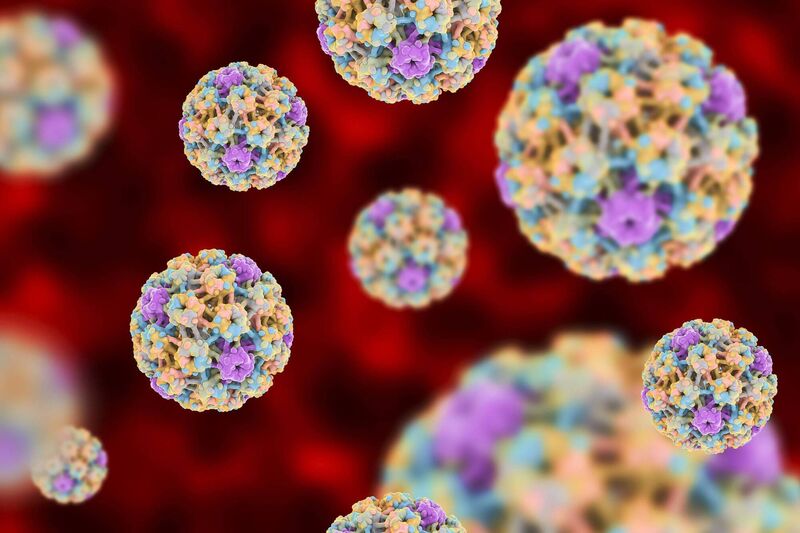 A picture of the human papillomaviruses, on a colorful background. A picture of the human papillomaviruses, on a colorful background.