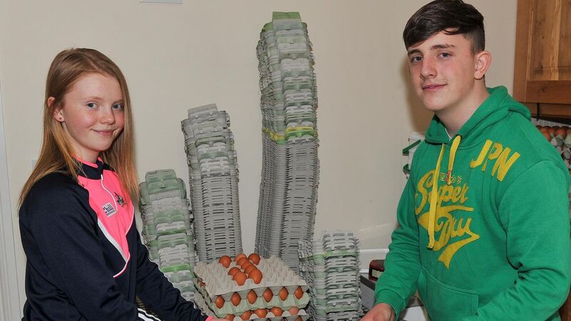 Adam Dunne and his sister Aoife, packing eggs at their home near Carrignavar. Picture: David Keane. Adam Dunne and his sister Aoife, packing eggs at their home near Carrignavar. Picture: David Keane.