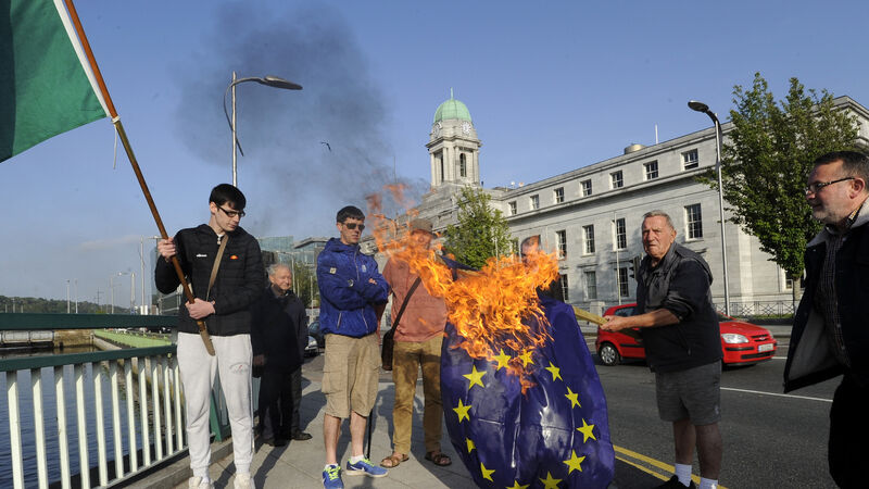 Cork group burns flag during anti-EU rally outside City Hall