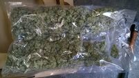 Nearly €500k of drugs seized in Glanmire