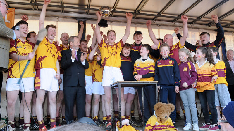Whitechurch junior hurlers bask in All-Ireland glory
