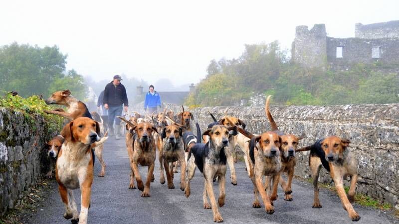 Fermoy to host group from French twin town
