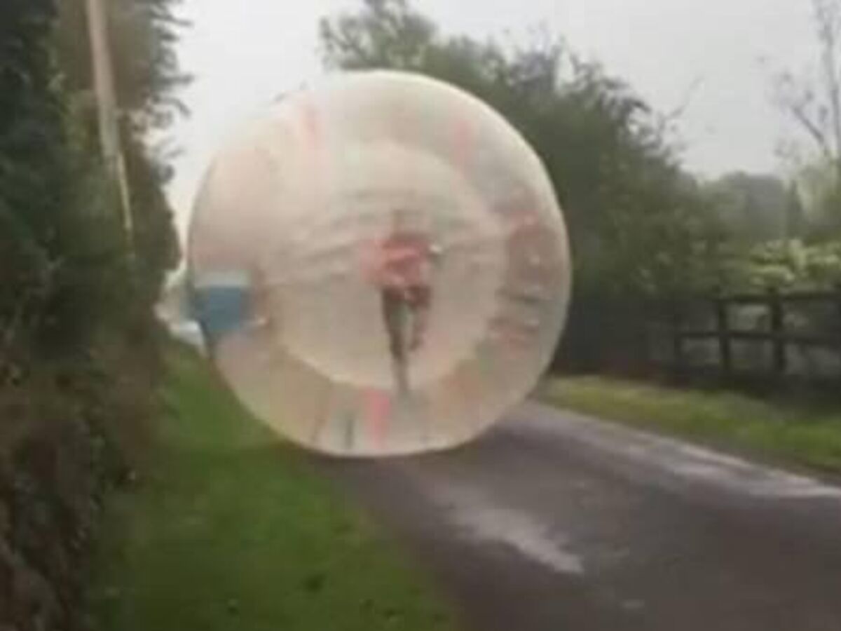 namara talking hamster