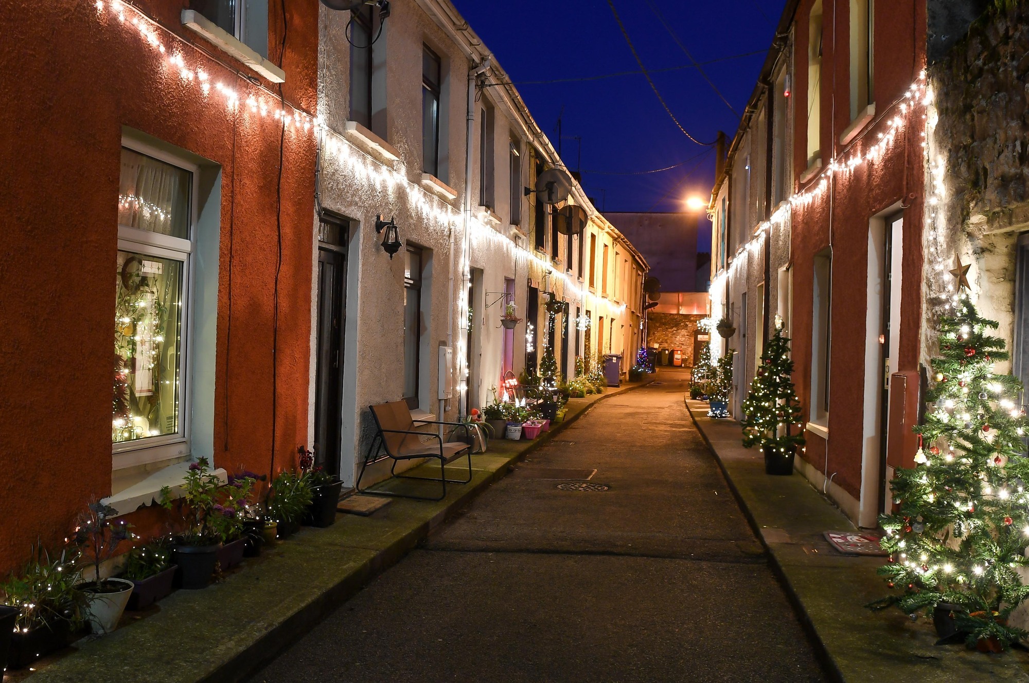 One of Cork's oldest communities lights up its street... at the end of a dark year - Vimarsana News