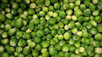 What foods do you most love at Christmas?