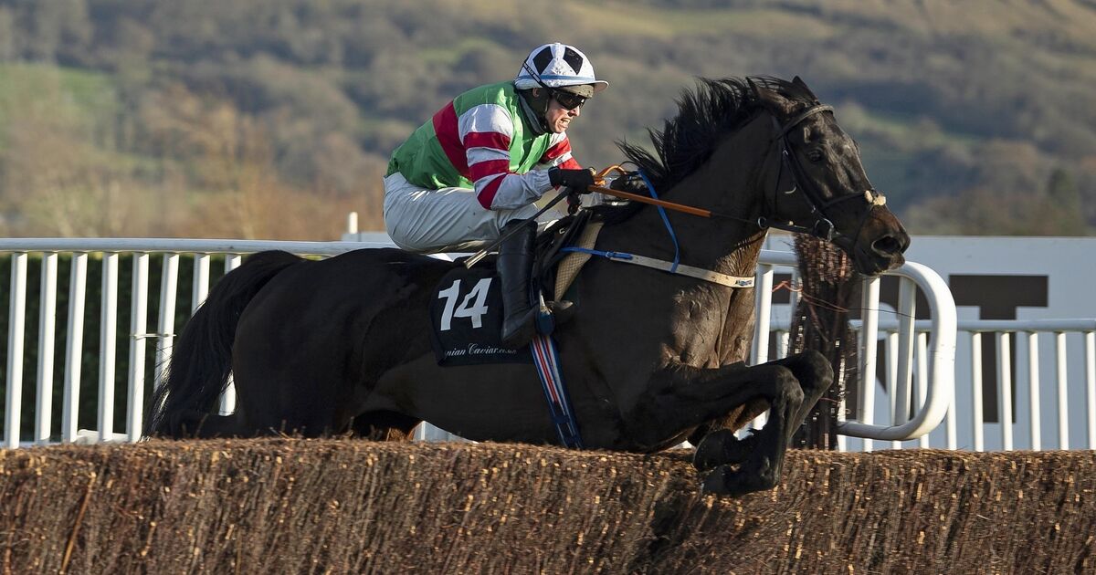 Cork racing is producing winners at every level