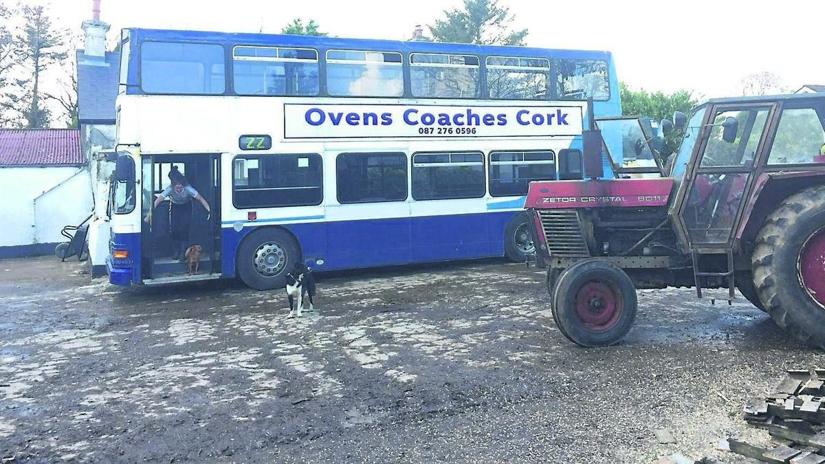 Cork farm has double decker bus as airbnb