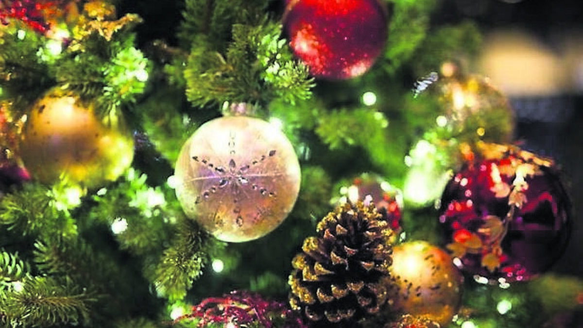 Where did the tradition of a Christmas tree come from?