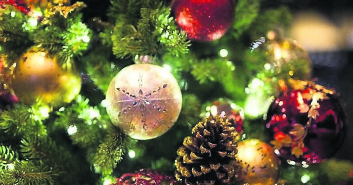 Where did the tradition of a Christmas tree come from?