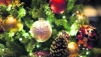 Where did the tradition of a Christmas tree come from?