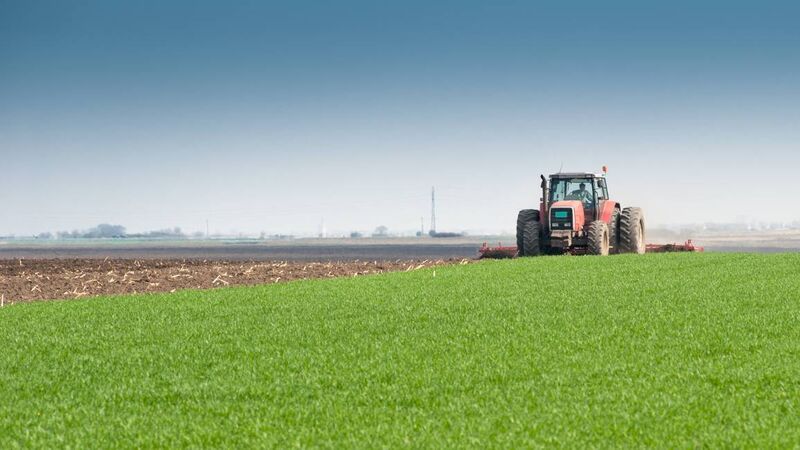 Cork farmers rush to scoop up tractors from the UK before Brexit 