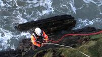 Lucky dog rescued by Coastguard off Cork coast