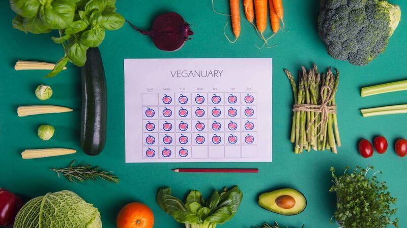 Kate Ryan: The different reasons why people go vegan Kate Ryan: The different reasons why people go vegan