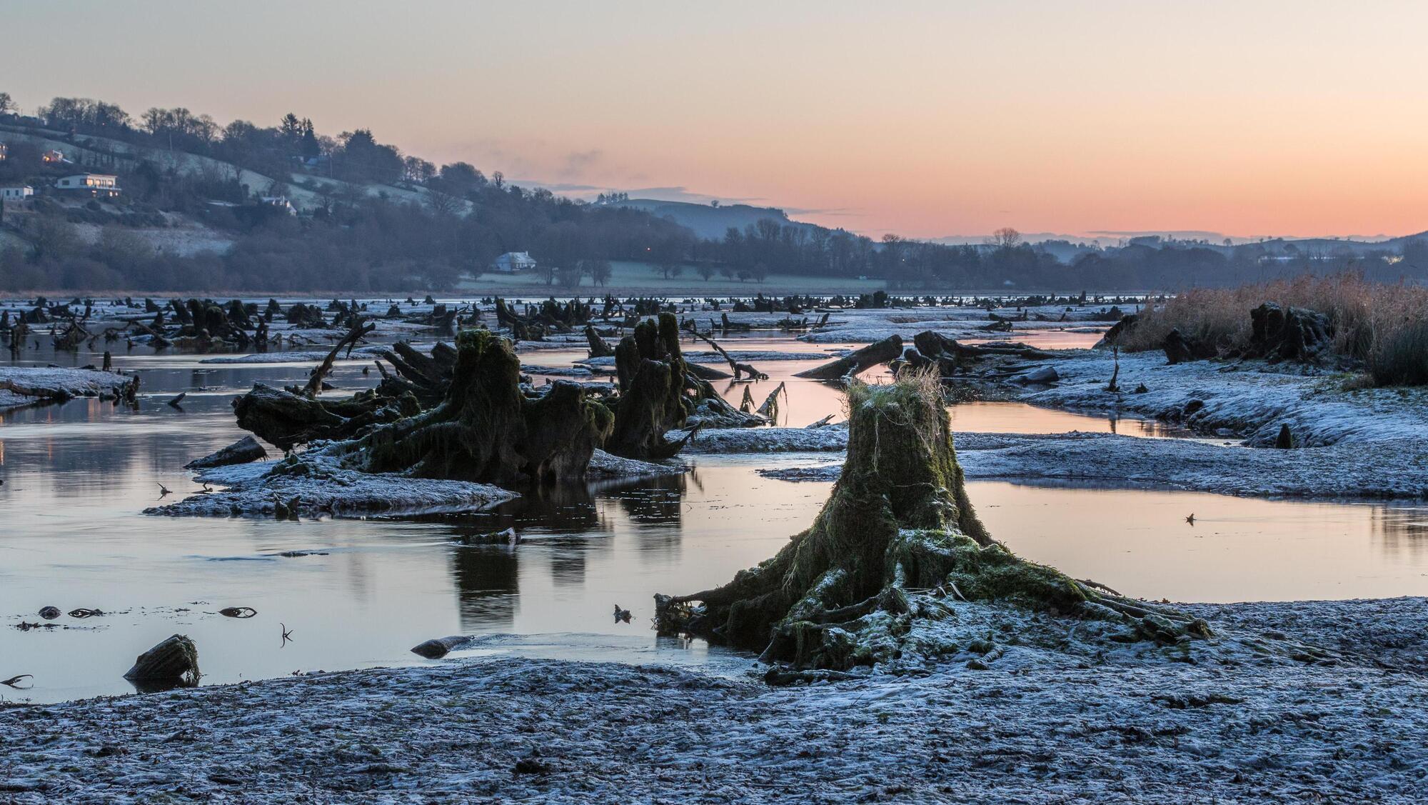 Cork weather Met Éireann warns tonight could be 'the coldest night of the winter so far'