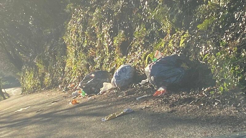 Illegal dumping in Cork city 'soul destroying' for council and volunteers Illegal dumping in Cork city 'soul destroying' for council and volunteers