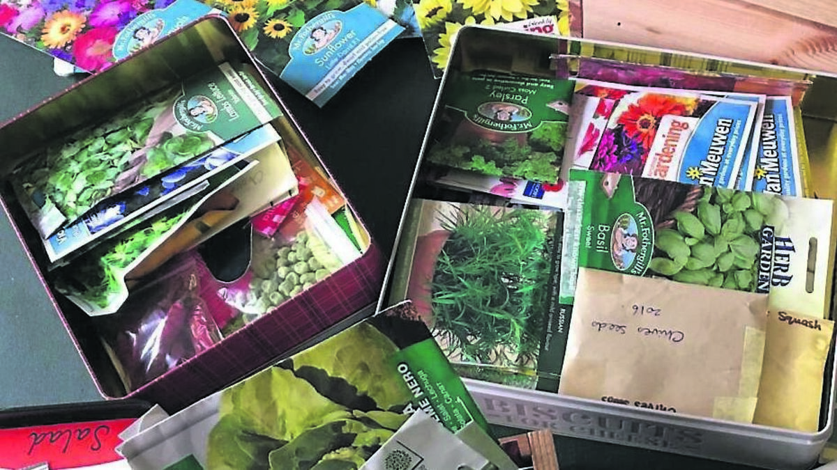 Start planning your 2021 garden now