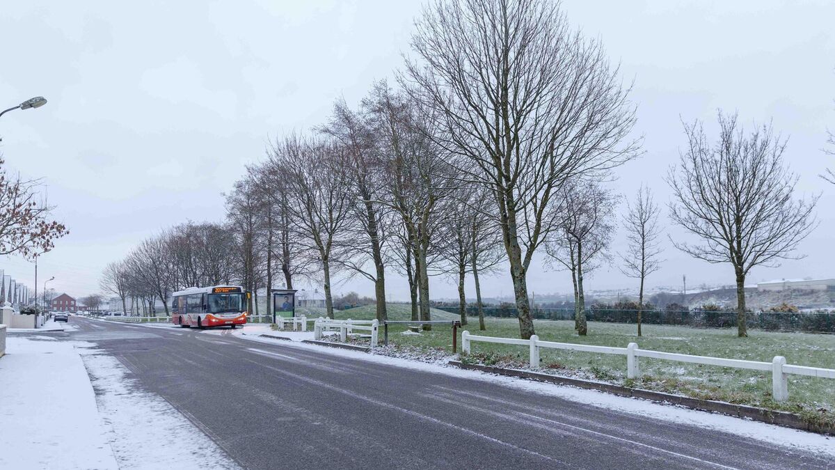 Cork weather: Forecaster warns severe cold snap could return later this week