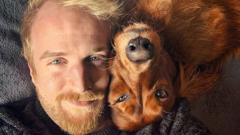 'Our Irish Red Setter has more facial expressions than most humans'