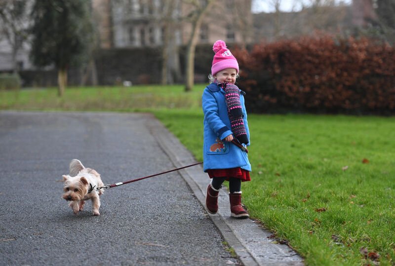  Olivia Lordan aged 3 and a half from Tralee enjoys a walk with her Dog Teddy in Tralee's Town park - The park in Tralee is a great walking spot for the people of Tralee during Covid . 