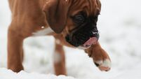 Winter Weather Dec 4th 2020
