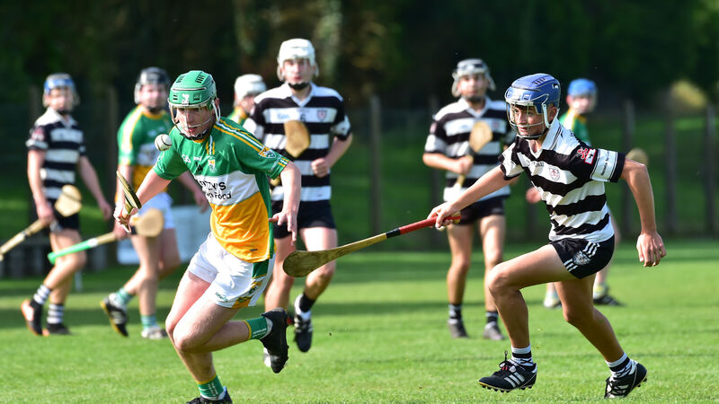 Rebel Óg reveal 2021 plans for Cork underage GAA from U12 to minor Rebel Óg reveal 2021 plans for Cork underage GAA from U12 to minor