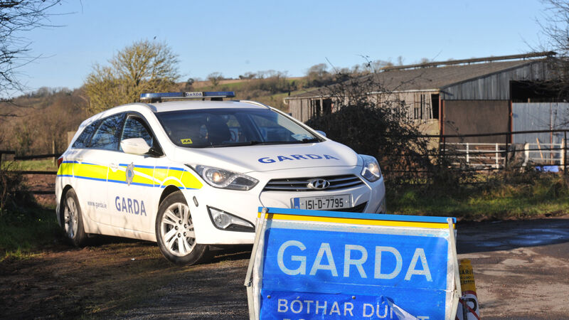 DNA results from human remains found near Midleton expected ‘in days’
