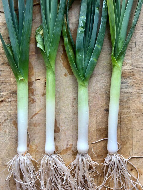 Home grown leeks Picture: Kate Ryan