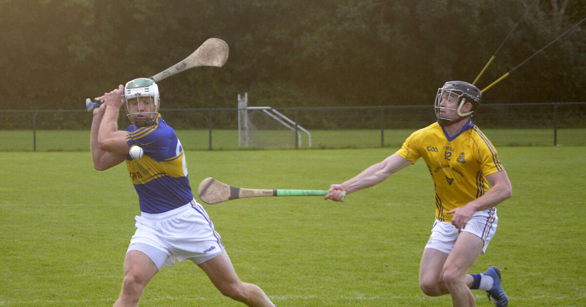 Carrigtwohill hurling heroes have key roles with Cork minors