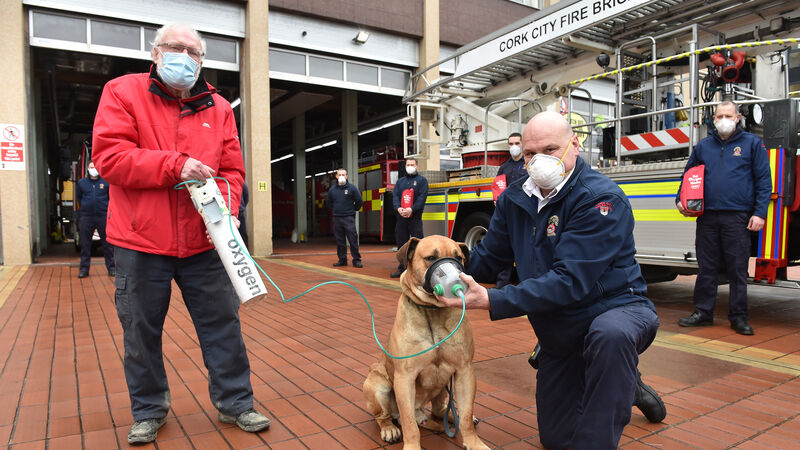 Special animal oxygen masks donated to Cork City Fire Brigade
