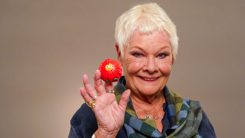 Judi Dench launches Red Nose Day Judi Dench launches Red Nose Day