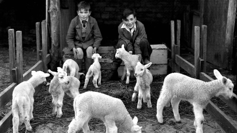 Nostalgia: A look back at spring scenes in Cork through the decades Nostalgia: A look back at spring scenes in Cork through the decades